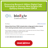 Pioneering Research Utilizes Digital Cage Technology to Uncover New Insights into Epilepsy-linked Kinase CDKL5